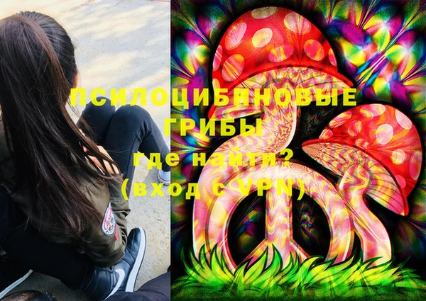 хмурый Алексеевка