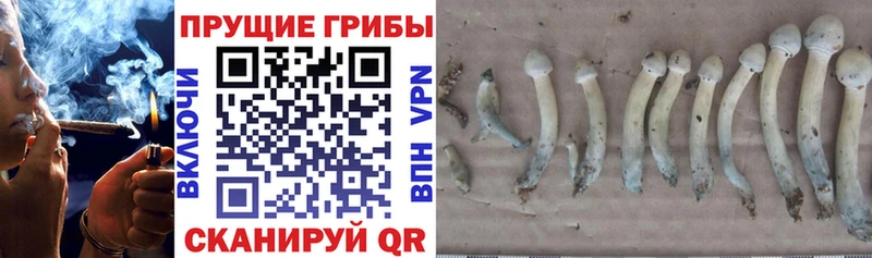 Галлюциногенные грибы MAGIC MUSHROOMS  Троицк 